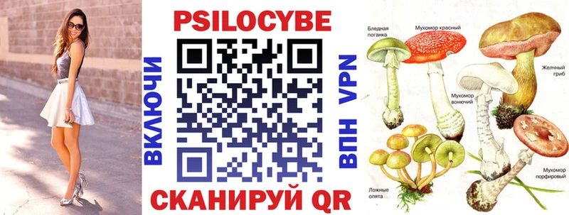 продажа наркотиков  Арсеньев  MEGA вход  Галлюциногенные грибы Psilocybine cubensis 